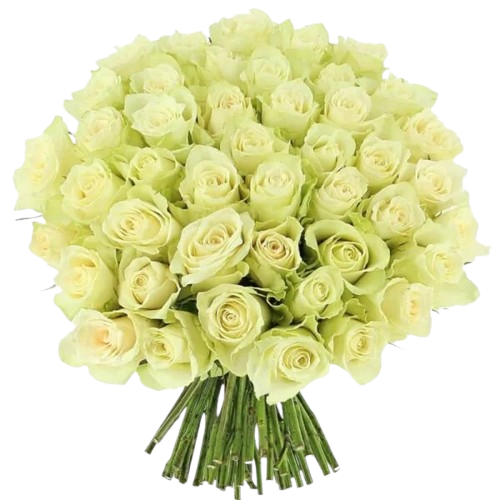 Γραφείο Τελετών Καλαμαριά - holevas